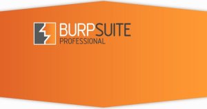 Burp Suite Pro Crack 2022.8.4 License Key Download